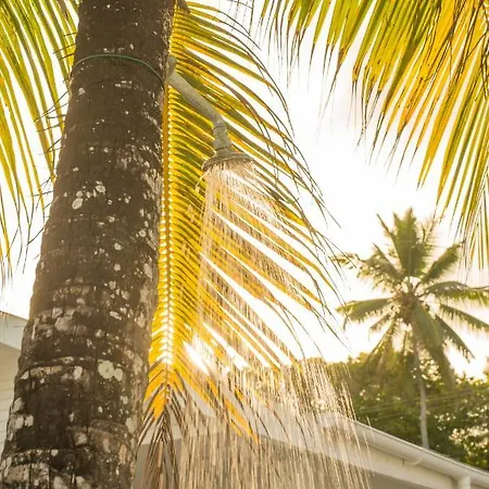 Le Nautique Beachfront Apartments Anse Royale Exterior foto